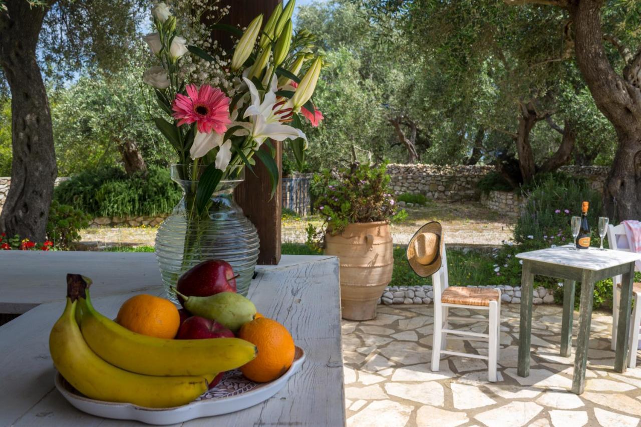 Villa Elaia Suites & Apartments No.5 Gaios Extérieur photo